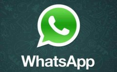 如何正确使用WhatsApp