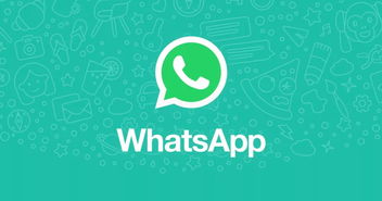 5个简单步骤执行WhatsApp营销策略