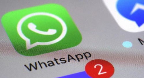 WhatsApp怎么使用_IOS版手机教程