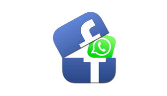 为什么用WhatsApp做海外私域营销?