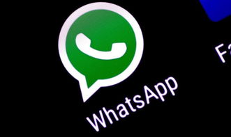 WhatsApp如何有效营销及促单