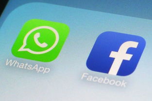 2023年最新whatsapp账号购买渠道