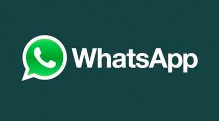whatsapp协议号,whatsapp协议号是什么