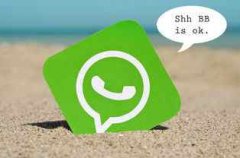 WhatsApp电脑端可以加好友吗?